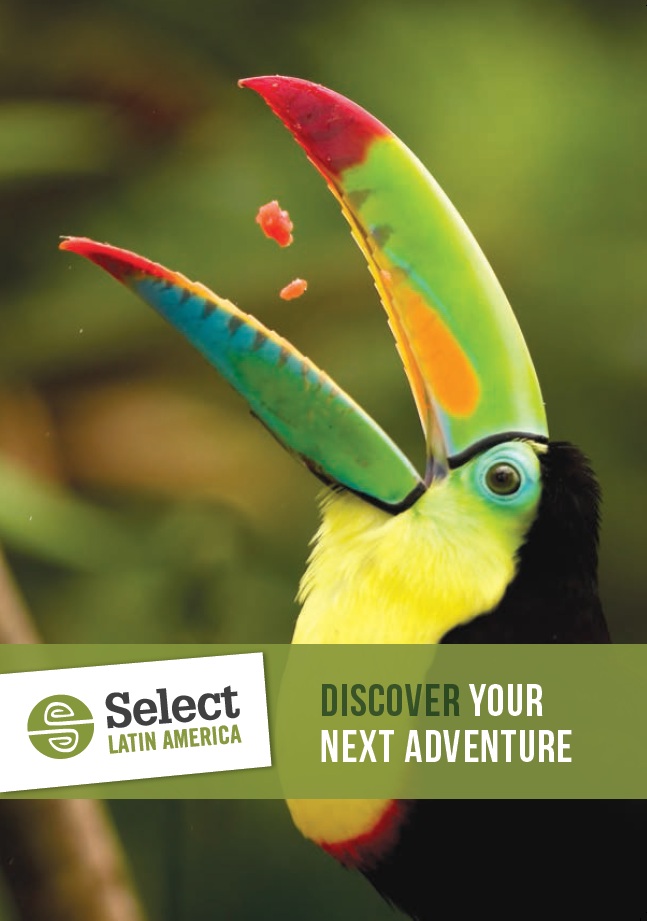 Brochure Cover